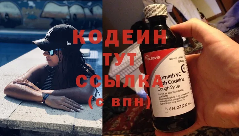 купить закладку  Заозёрск  Кодеин Purple Drank 